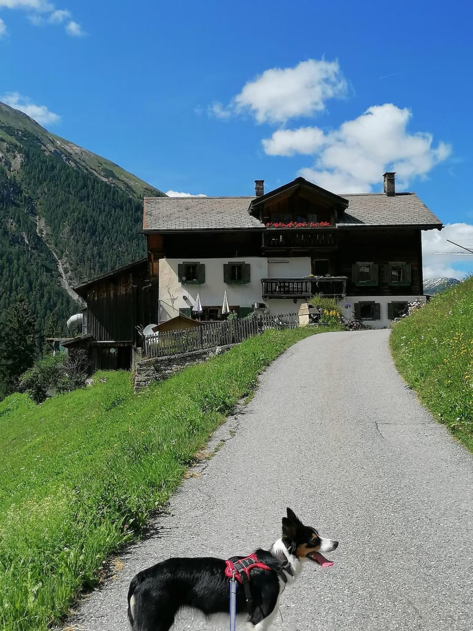 Stilvolle 3,5 Dachwohnung Apartment in Davos