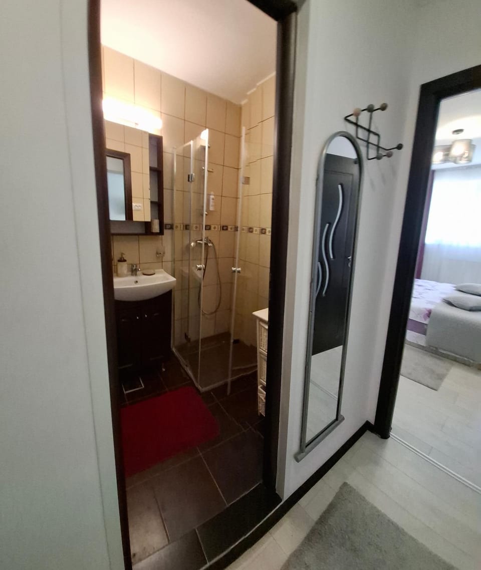 Cazare Herculane Apartment in Serbia