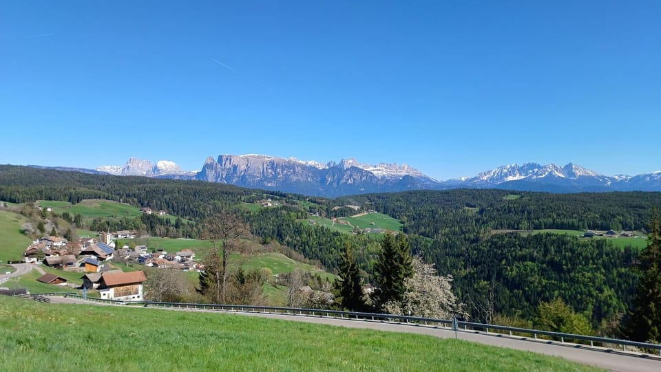 Mountain view