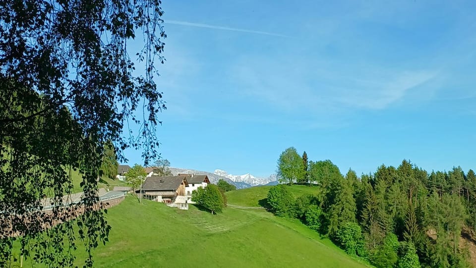 greenlodge pornplatthof Apartment in Trentino-South Tyrol