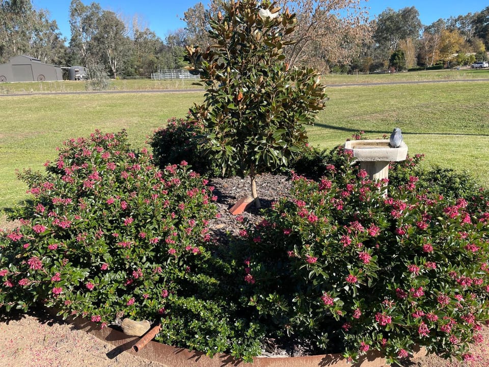 Guinevere 2 Apartment in Myrtleford