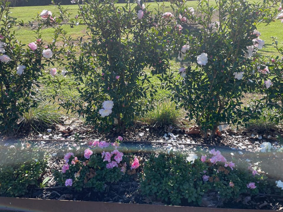Guinevere 2 Apartment in Myrtleford