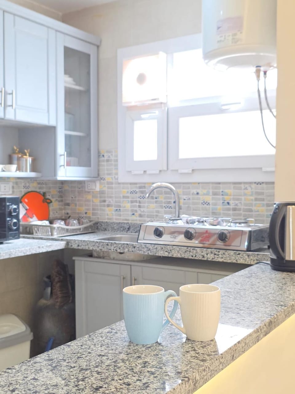 Coffee/tea facilities, Kitchen or kitchenette, dishwasher, minibar, pet friendly, stove, toaster