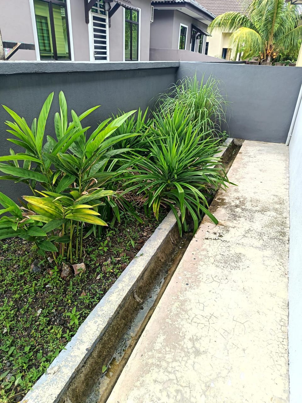 Inner courtyard view