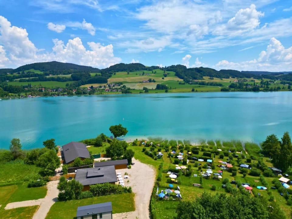 Lake view