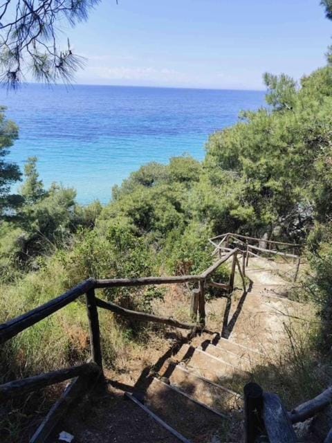 Danai Nefeli Apartment Apartment in Halkidiki