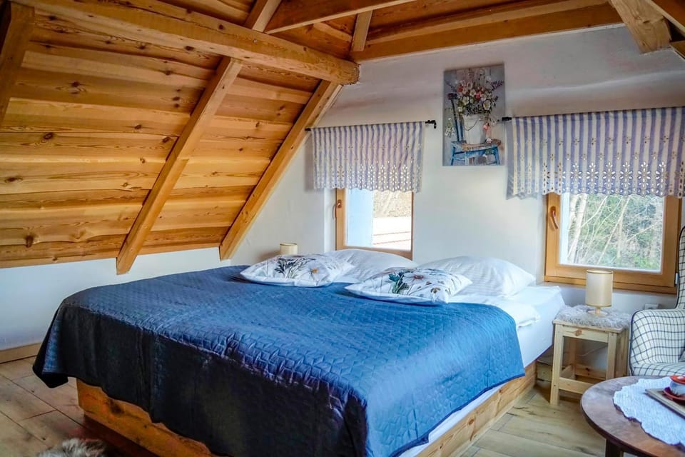 Kmetija Karničnik-kmečka hiša Matejka with Hot tub&Sauna House in Slovenia