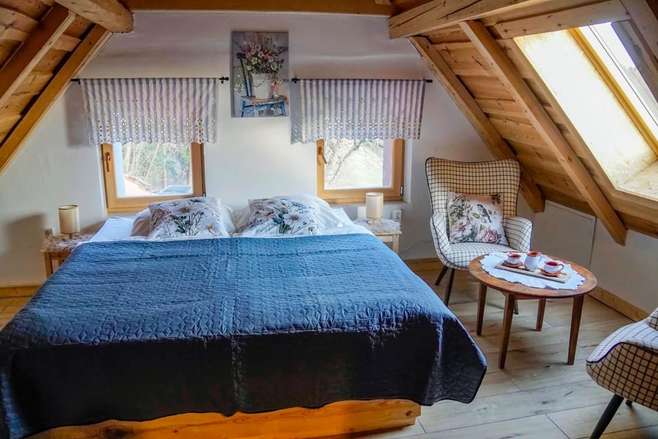Kmetija Karničnik-kmečka hiša Matejka with Hot tub&Sauna House in Slovenia