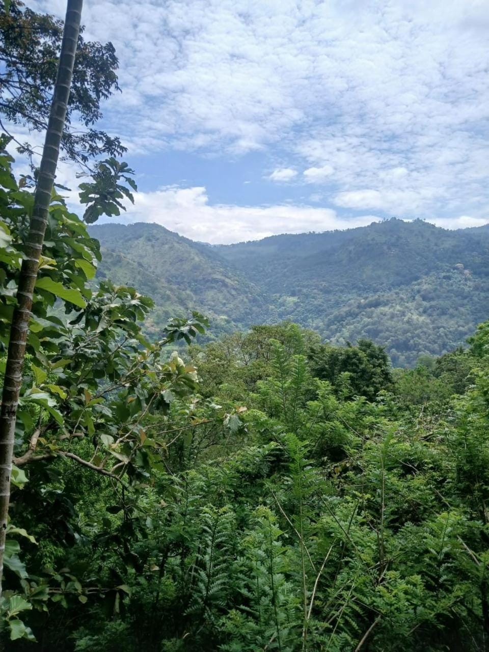 Day, Natural landscape, Mountain view