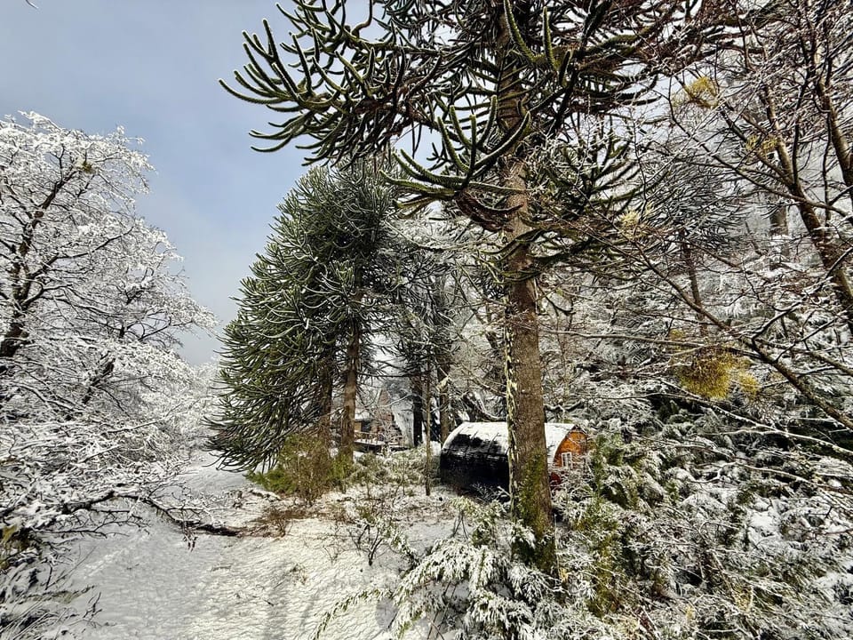 Natural landscape, Winter