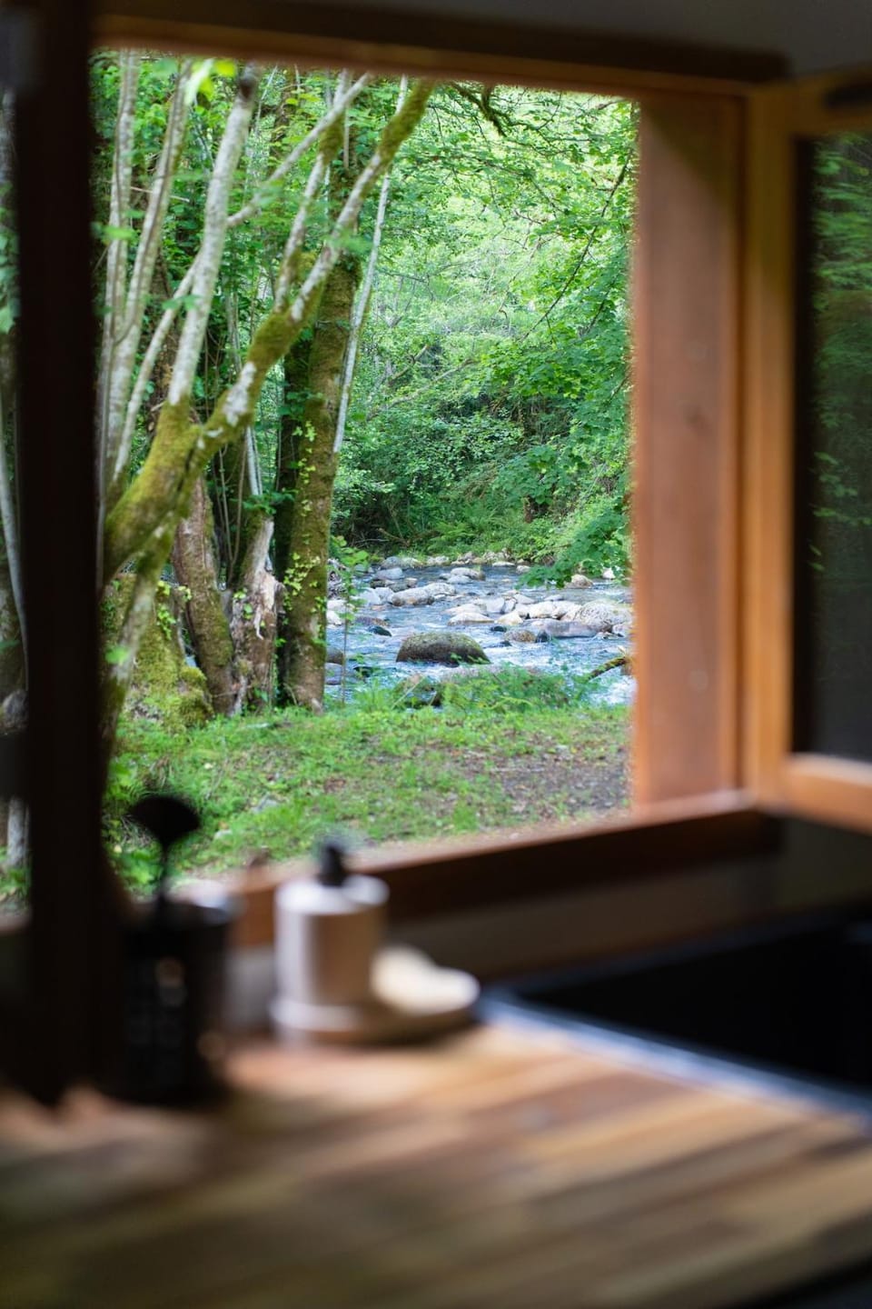 View (from property/room)