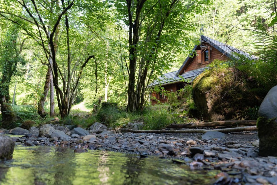 Spring, Natural landscape, Garden view, River view