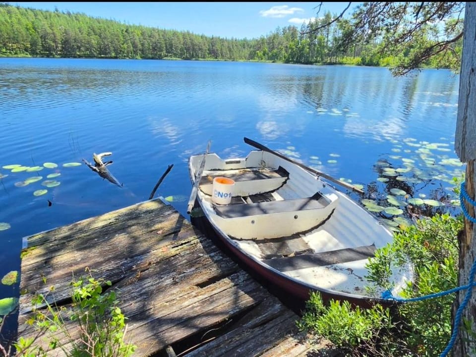 Day, Natural landscape, Activities