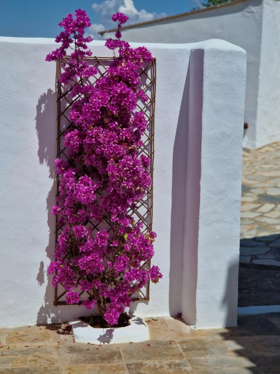 Finca Tranquilidad House in Andalusia