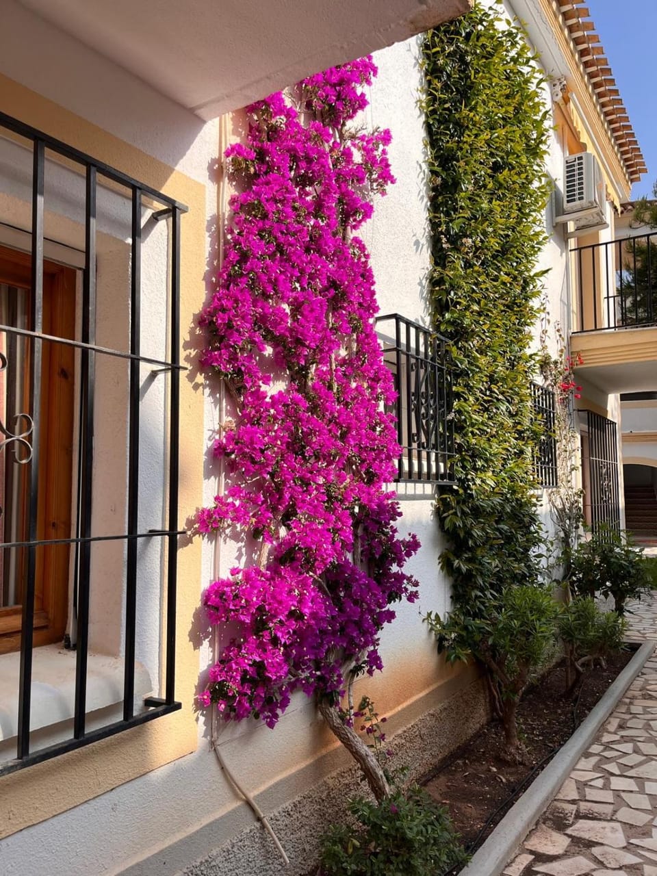 Casa de Verano Apartment in Andalusia