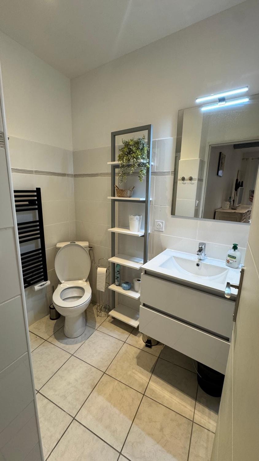 Studio Mirepoix Apartment in Occitanie