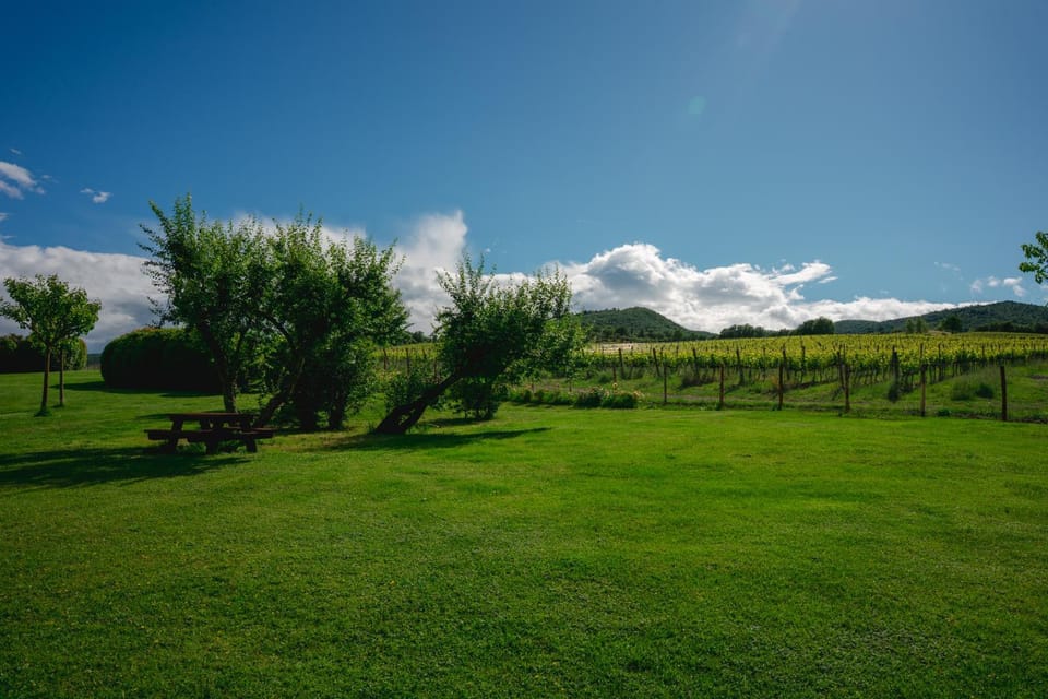 Garden, View (from property/room)
