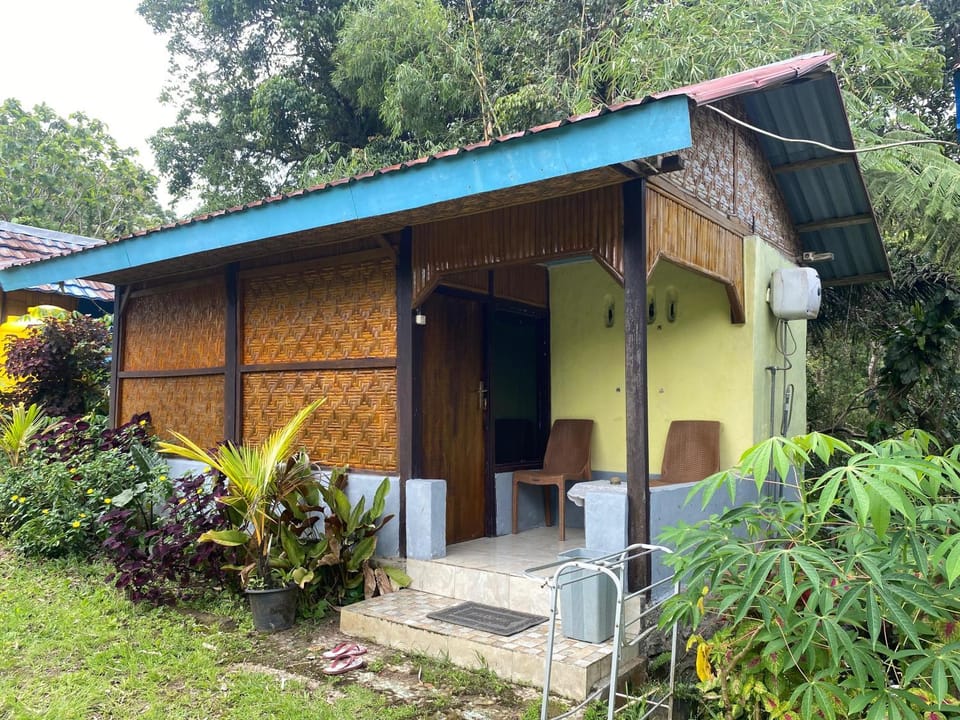 Property building, Garden view