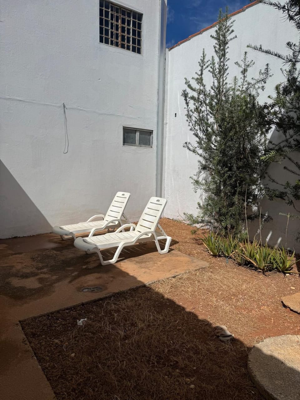 Garden, Balcony/Terrace