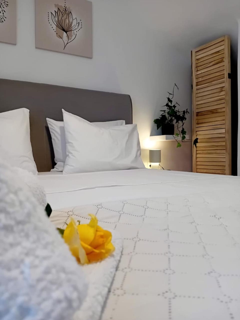 Bed, towels