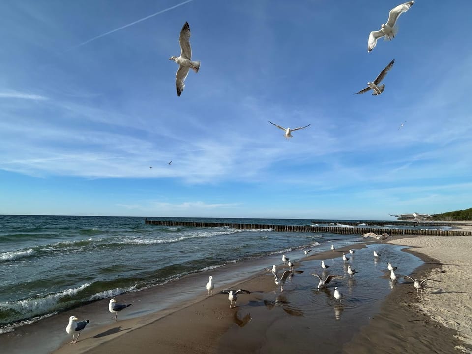 RESET La Playa Apartment in West Pomeranian Voivodeship, Poland