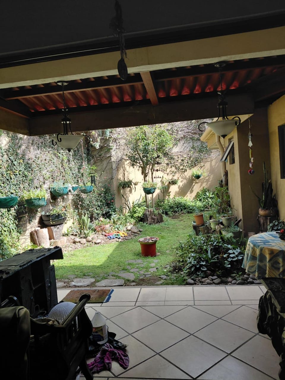 Garden view