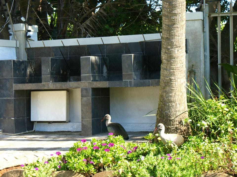 BBQ facilities