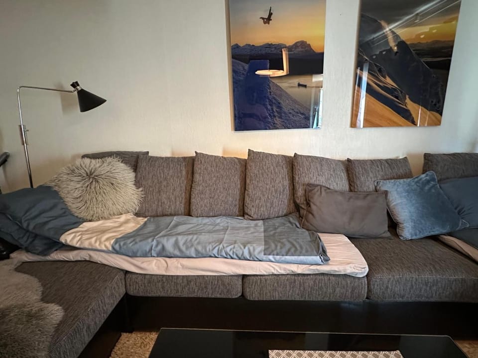 Bed, Living room