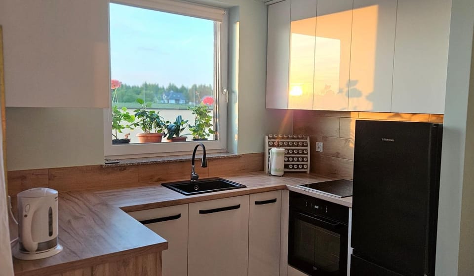 Kitchen or kitchenette, dishwasher, stove