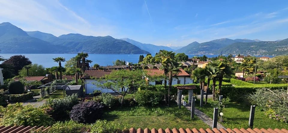 Lake view