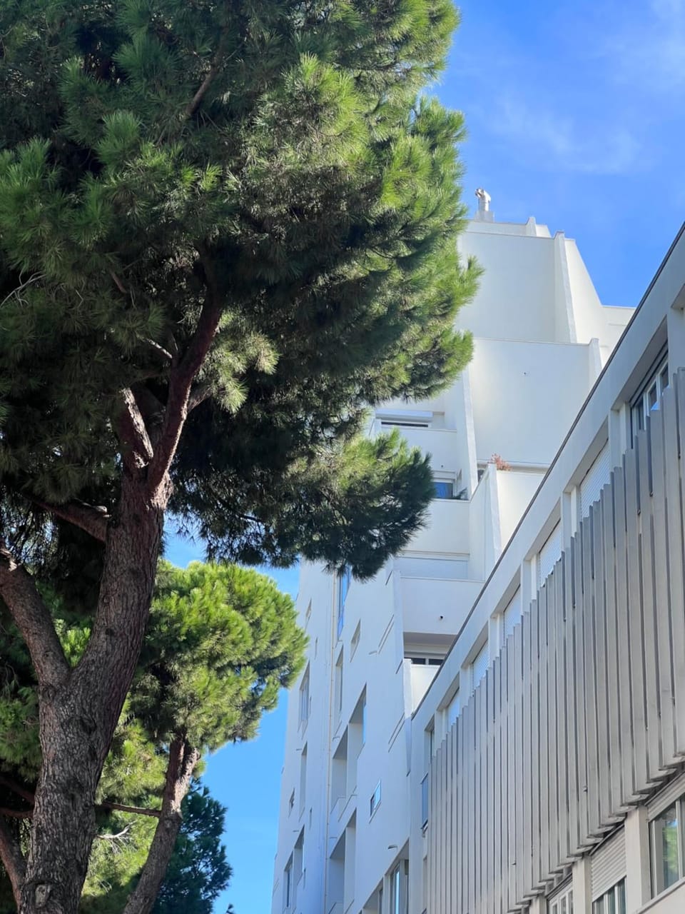 Property building, Day