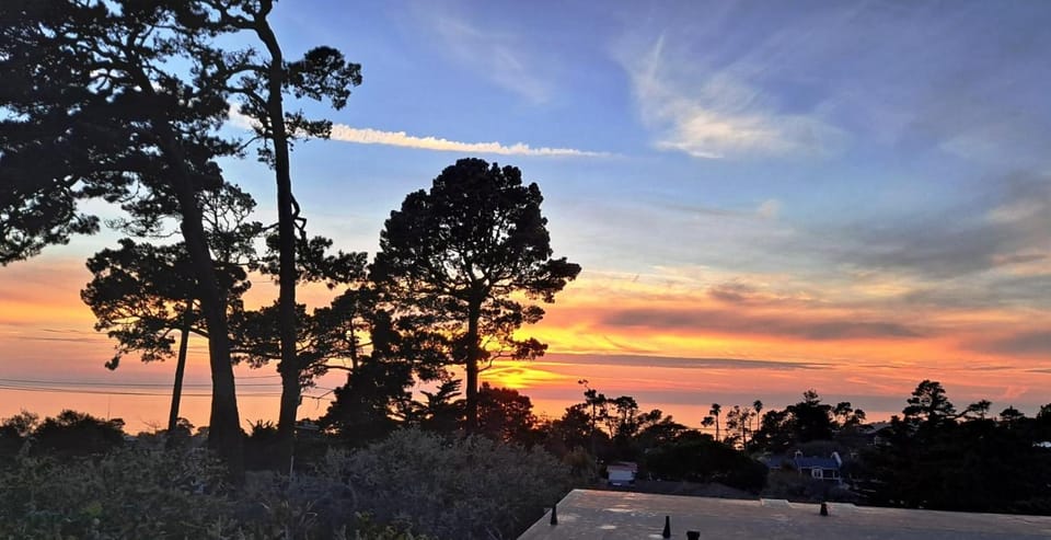 3879 Lucy's Treehouse House in Carmel by the Sea