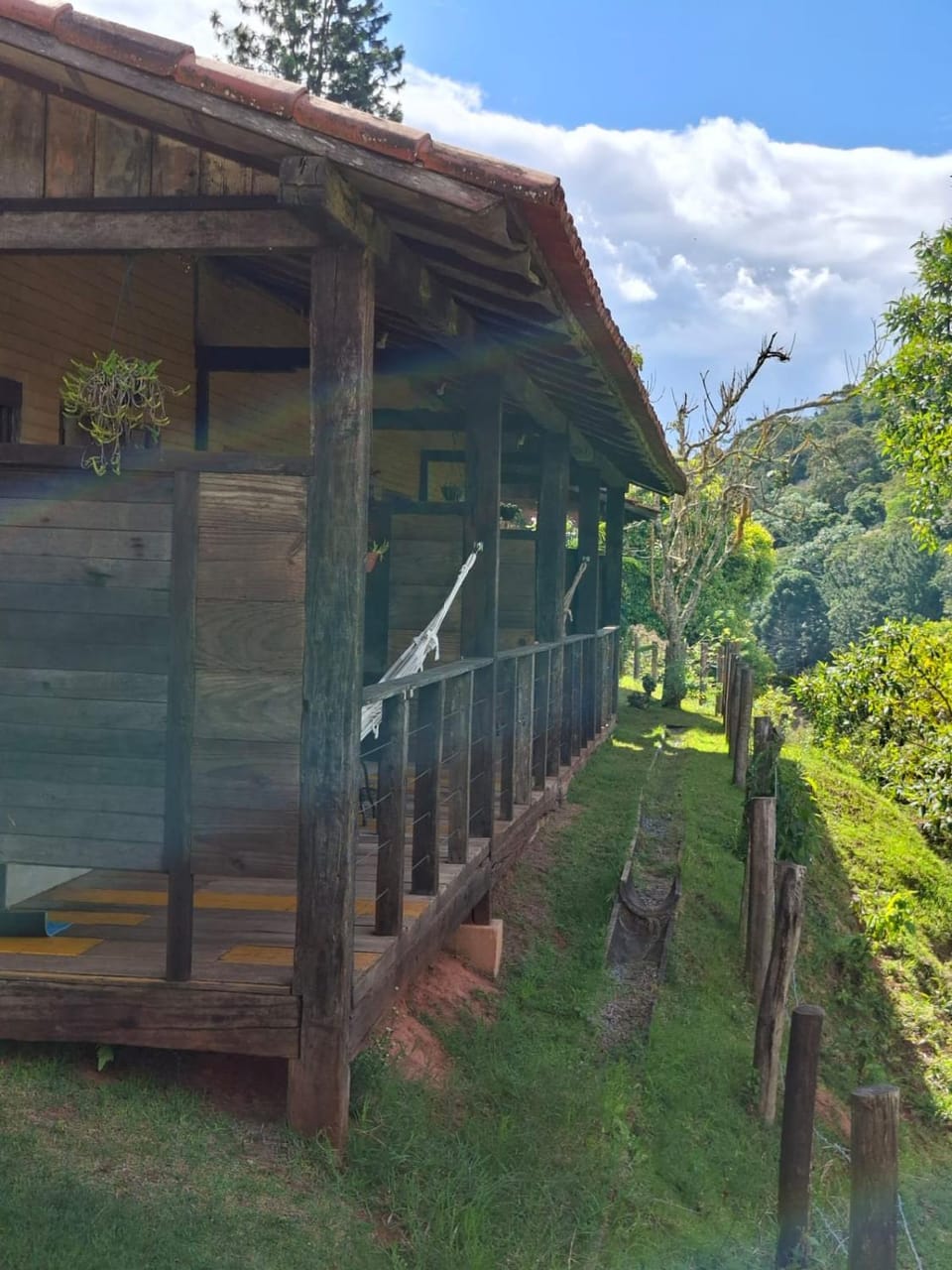 Natural landscape, Garden view