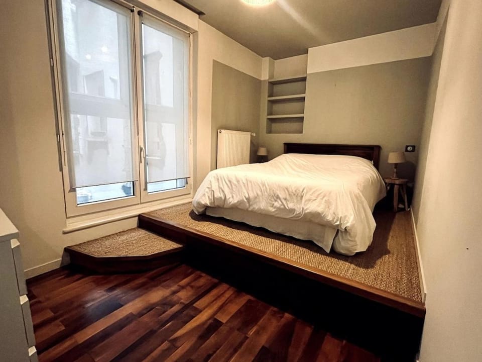 Appartement lumineux coeur historique Apartment in Grenoble