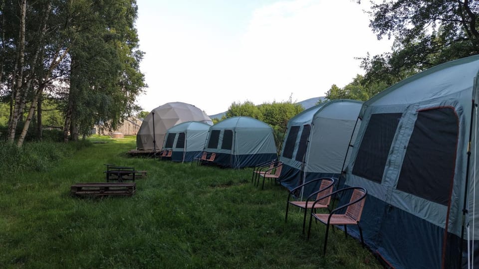 Namioty w lesie Luxury tent in Lower Silesian Voivodeship