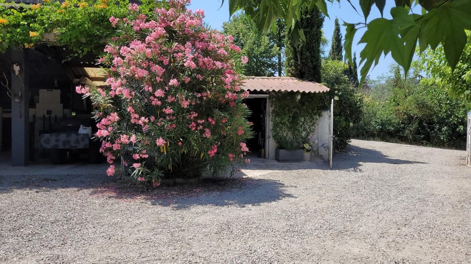 La symphonie des oiseaux House in Occitanie