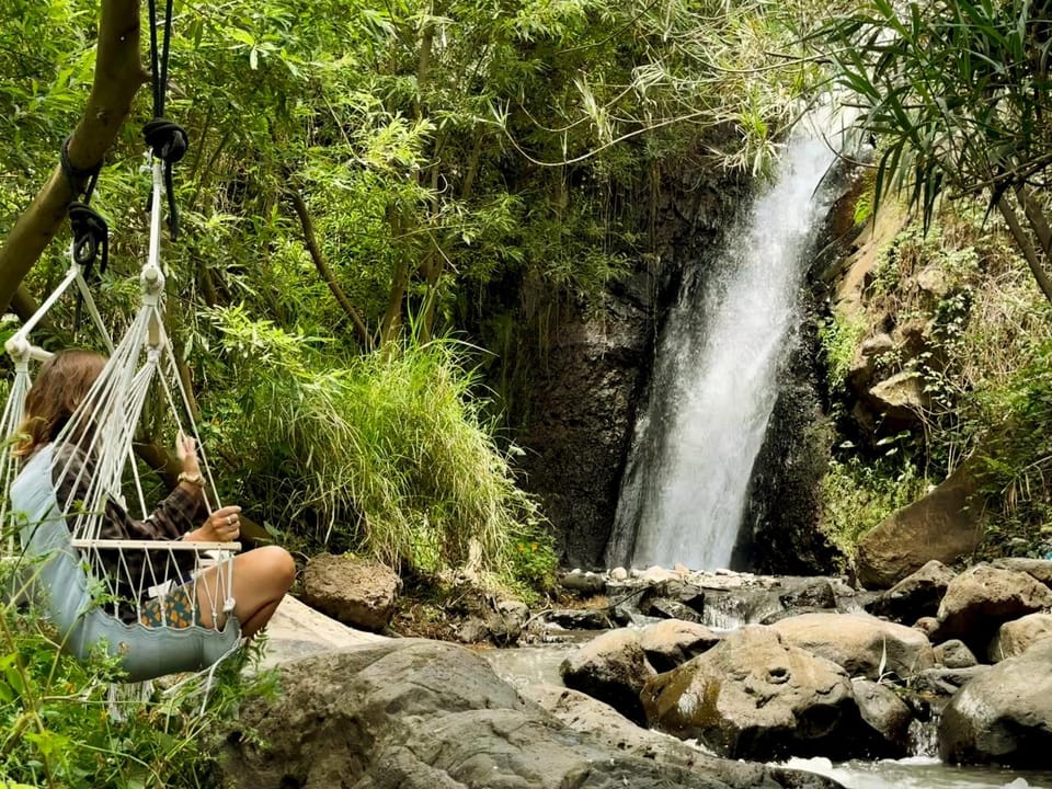 Waterfall Cave Pools Sauna Wild Banana Farm Bed and Breakfast in Madeira District