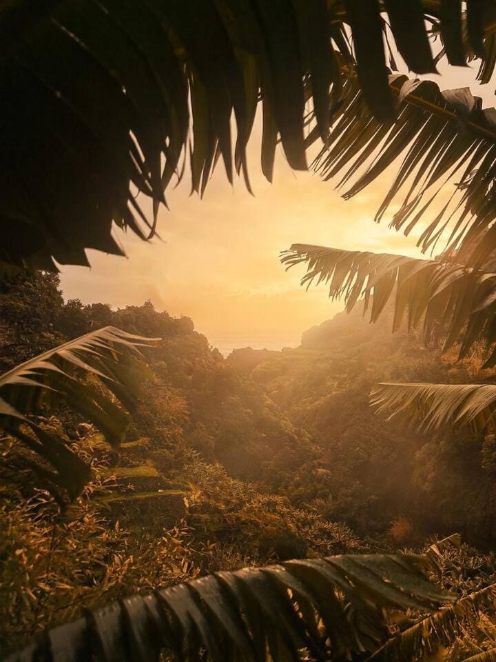 Mountain view, Sunrise, Sunset