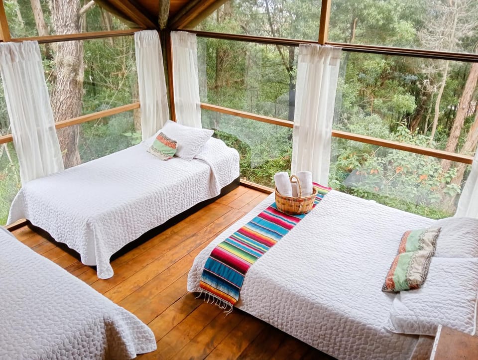 Bed, Natural landscape, Garden, View (from property/room), Photo of the whole room, Bedroom, Garden view, towels