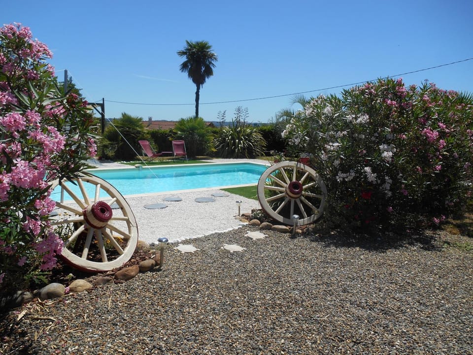 Pool view, Swimming pool