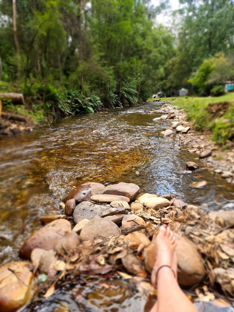 Natural landscape, River view
