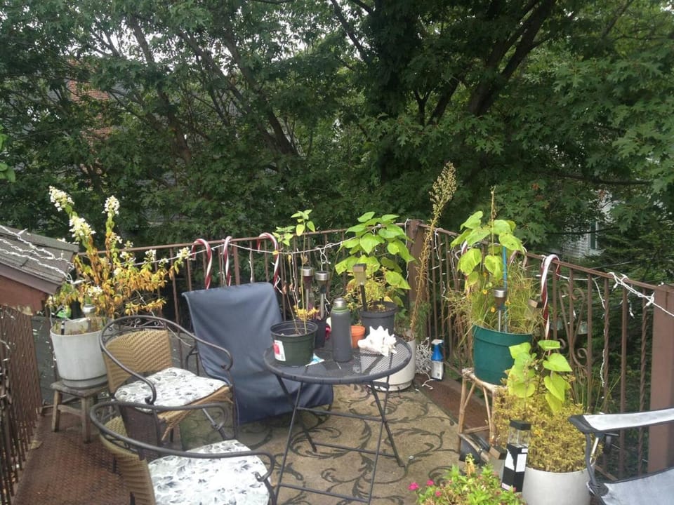 Balcony/Terrace