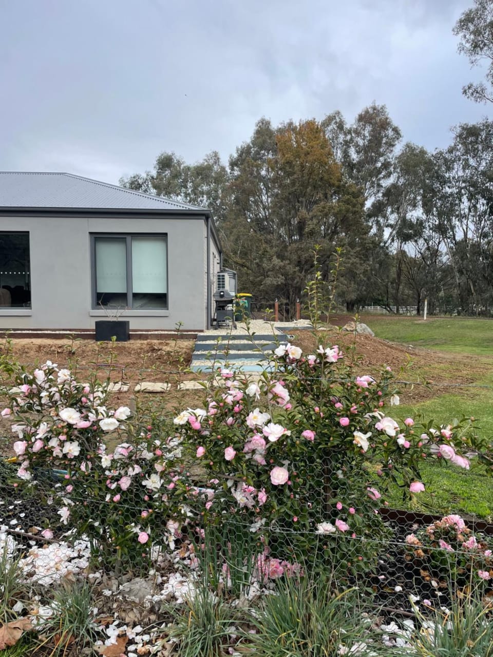 Guinevere2 Apartment in Myrtleford