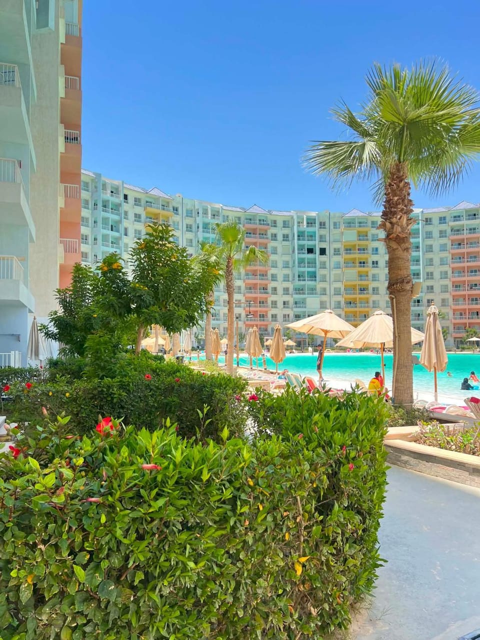 Pool view, Swimming pool