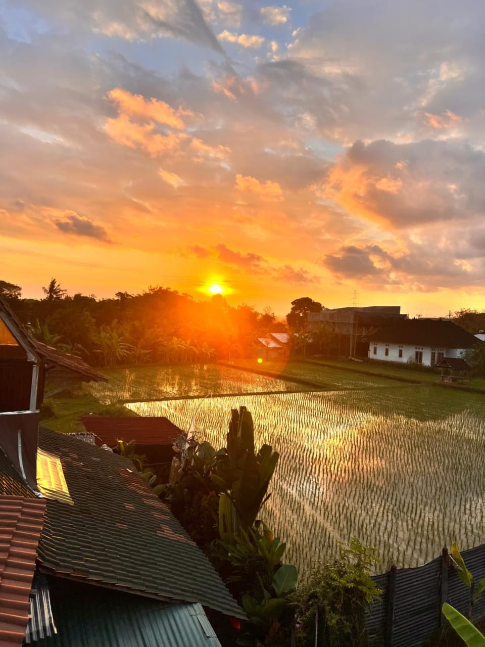 KUBU YR Village Bed and Breakfast in Bali