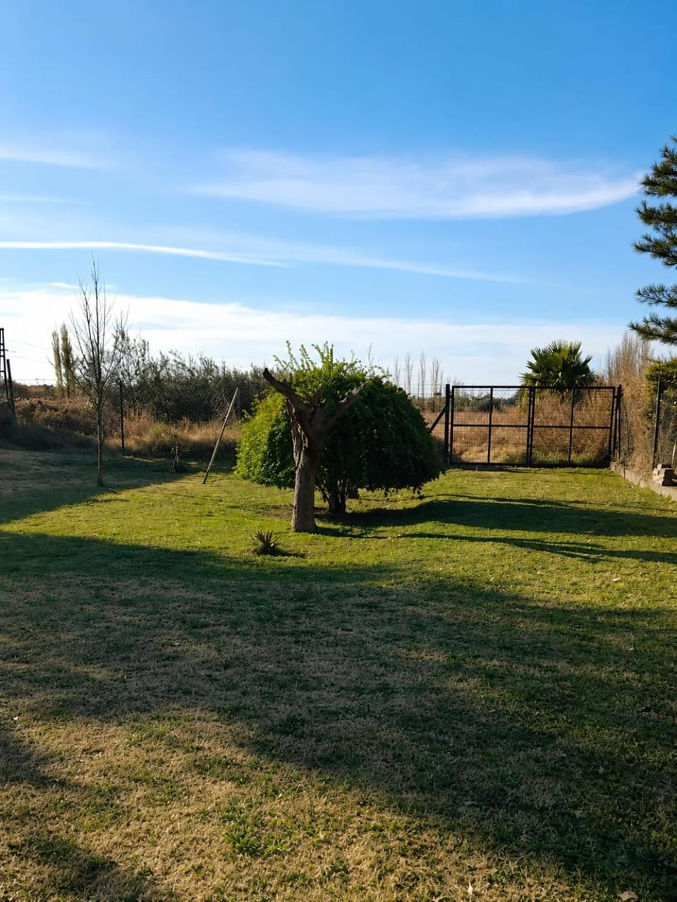 Garden, Garden view