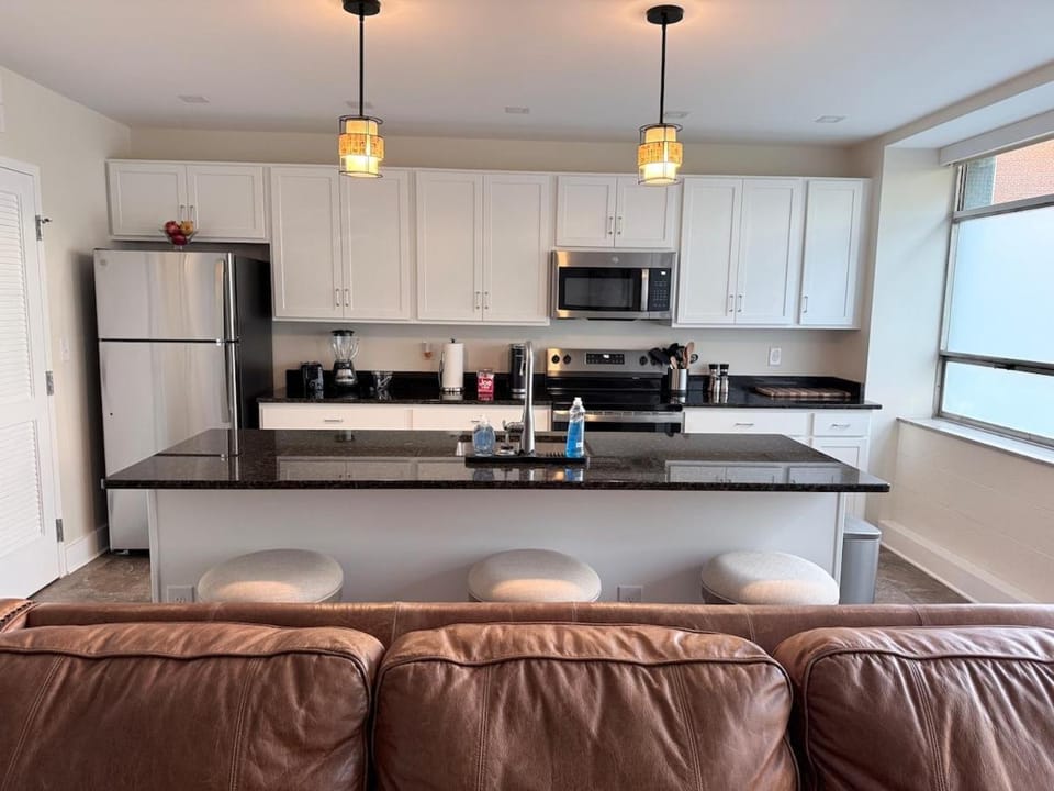 Newly Renovated Downtown Roanoke Apartment with Queen Bed & Private FREE Parking Apartment in Roanoke