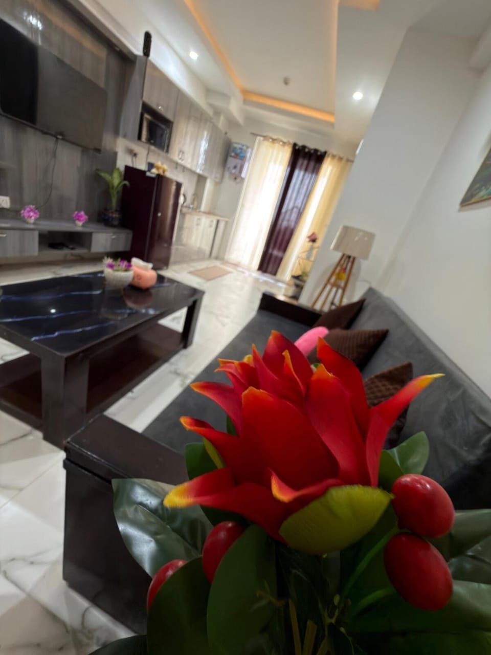 The Viewpoint Suites- Netflix, Hotstar, Wi-Fi Apartment in Gurugram