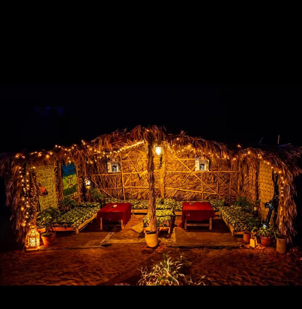 Night, Garden, Garden view