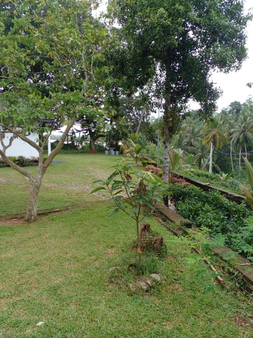 Royal Paradise Villa Bed and Breakfast in Southern Province